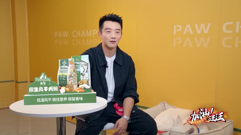 加油!汪汪剧照2