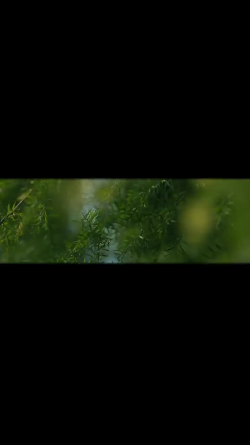 野有蔓草剧照1